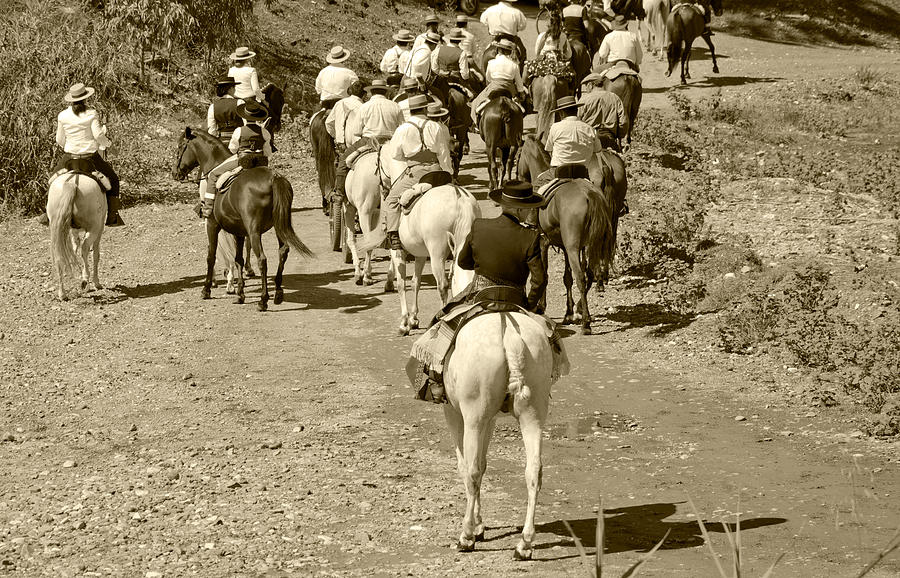 Horseman during Romeria Photograph by Perry Van Munster