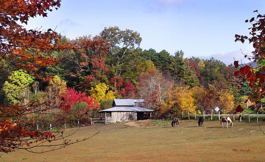 Horses and Barn in the Fall 2 Photograph by Duane McCullough