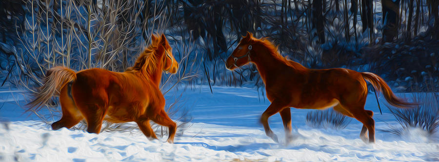 Horses at play Photograph by Tracy Winter
