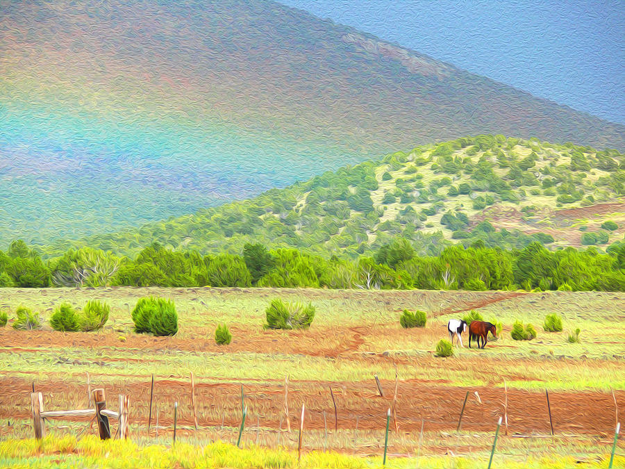 Horses at the end of the rainbow Photograph by Tracy Winter