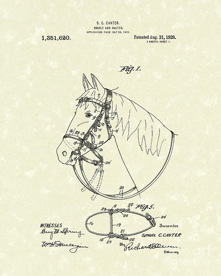 Horses Bridle 1920 Patent Art Drawing by Prior Art Design