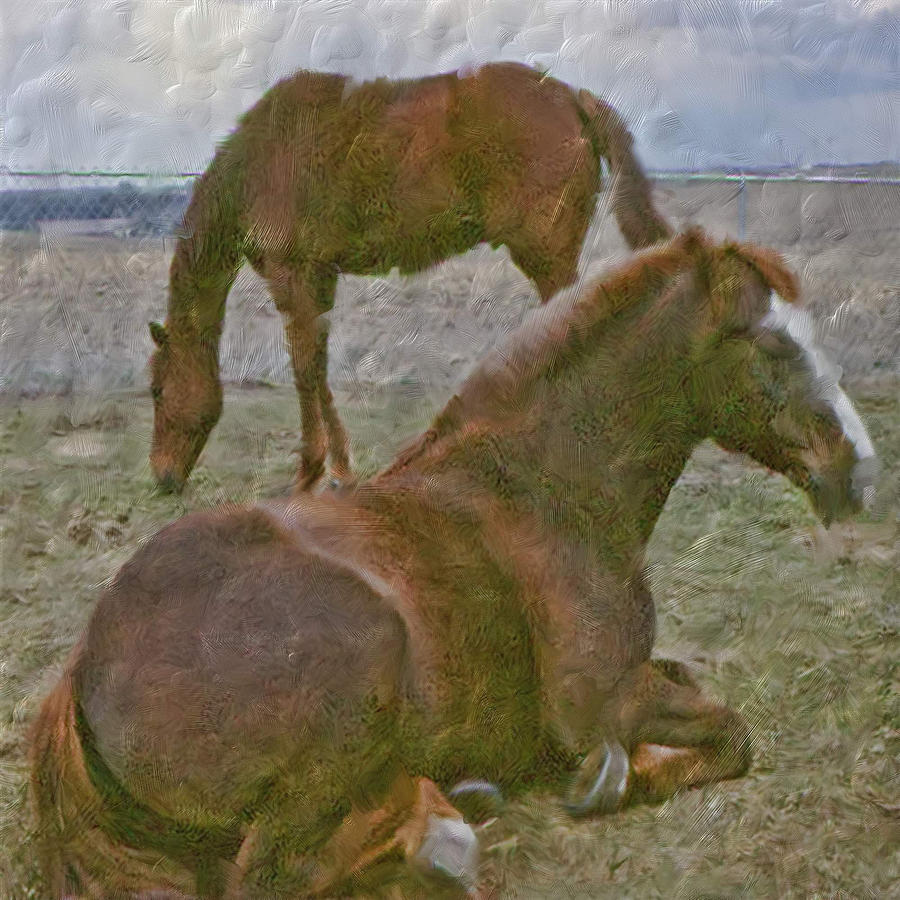 Horses Digital Painting Digital Art by Cathy Anderson