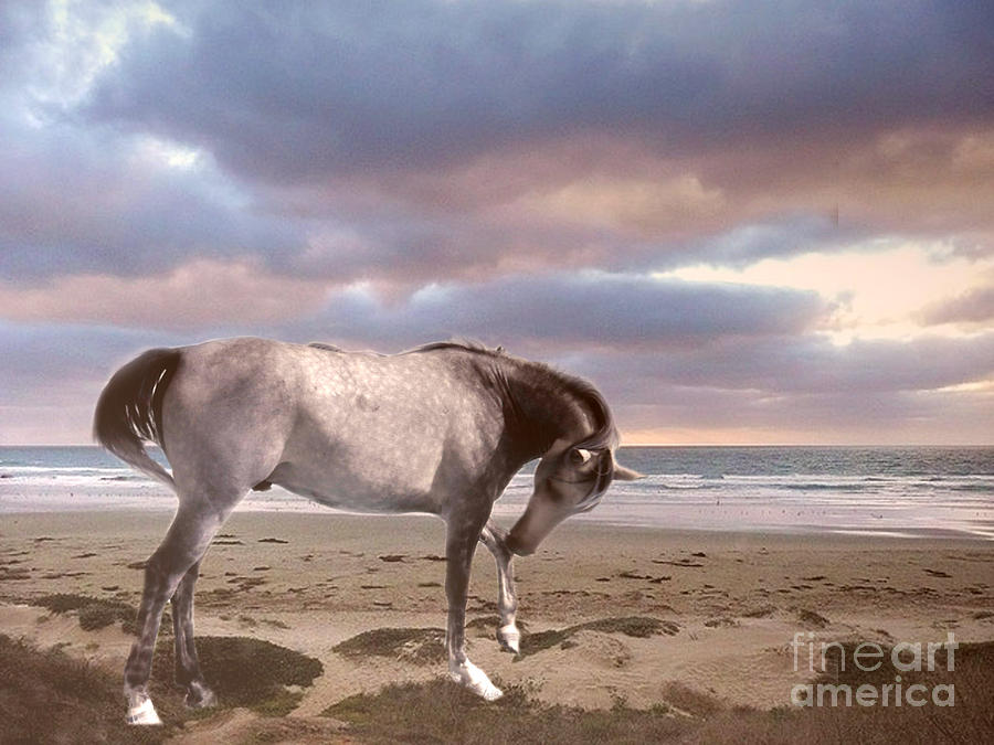 Horse Photograph - Horses Dreamy Surreal Fantasy Horse Beach North Carolina  by Kathy Fornal
