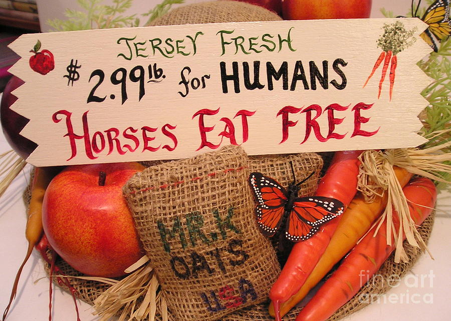 Horses Eat Free Photograph by Catherine Howley