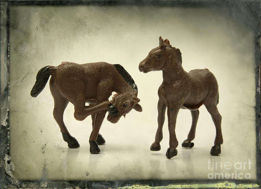 Horses figurines Photograph by Bernard Jaubert