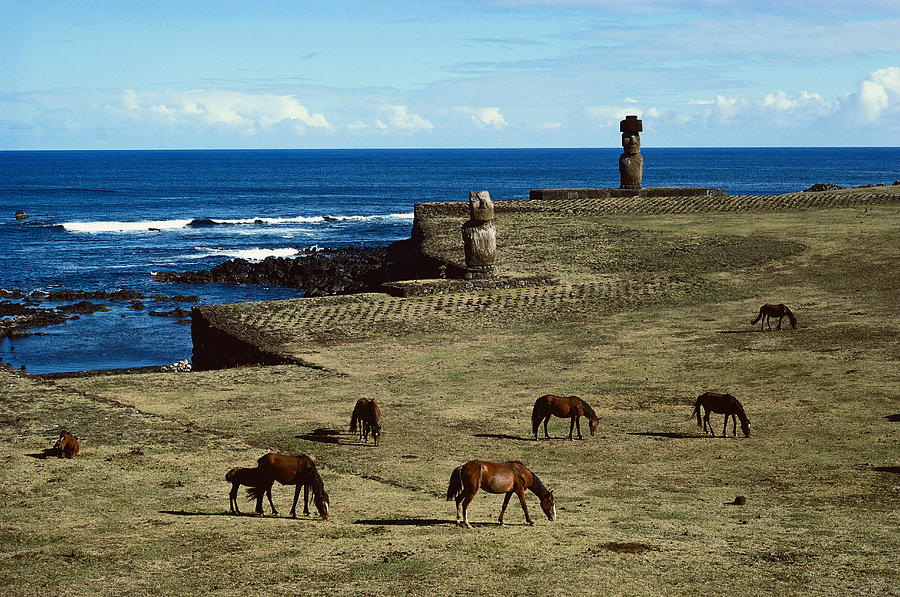 Horses Grazing, Easter Island Photograph by George Holton