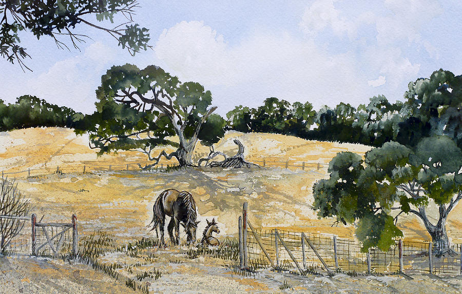 Horses in a Field Painting by Virginia McLaren