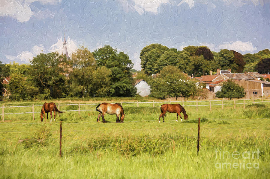 Animal Photograph - Horses in French countryside by Sheila Smart Fine Art Photography