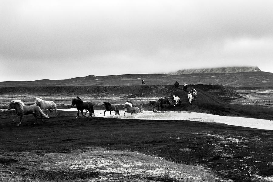 Horses in Iceland Photograph by Birgir Freyr Birgisson - Fine Art America