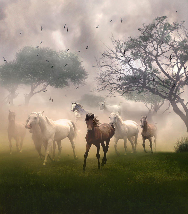 Horses in the Mist Digital Art by Nina Bradica