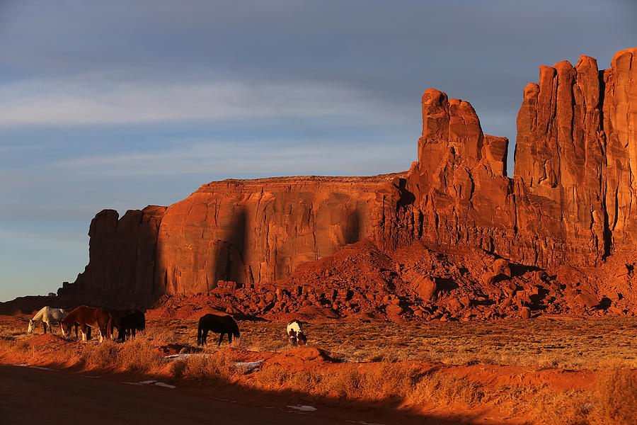 Horses of Monument Valley Photograph by Kim French
