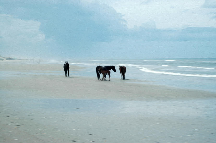 Horses of the OBX Digital Art by Kelvin Booker