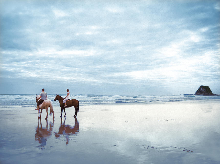 Horses on a beach in New Zealand. Photograph by Chris Williams Black Box