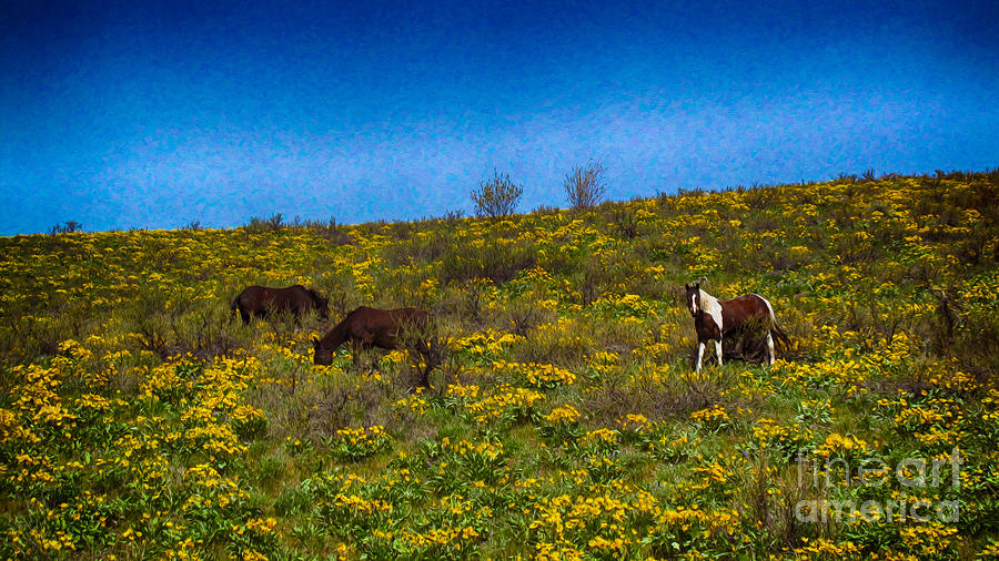 Horses on a Hillside Landscape Art by Omaste Witkowski  Photograph by Omaste Witkowski
