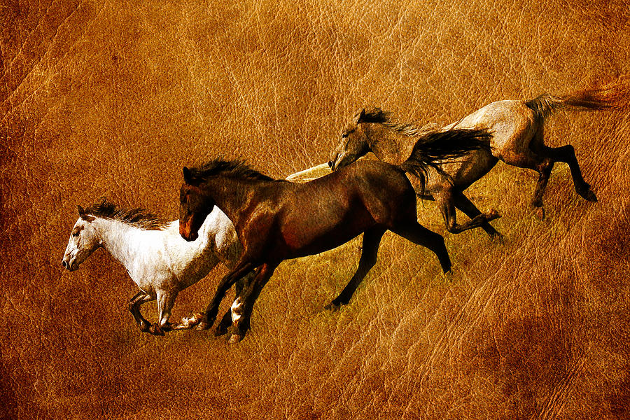 Horses on Leather Photograph by Steve McKinzie