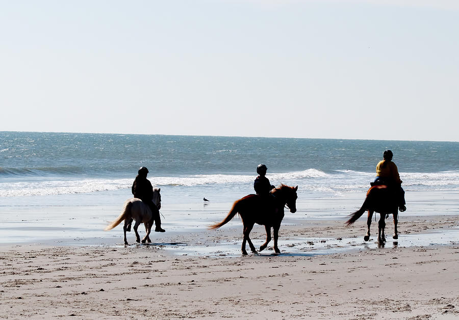 Horses on the Beach Photograph by Ray Summers Photography - Fine Art ...