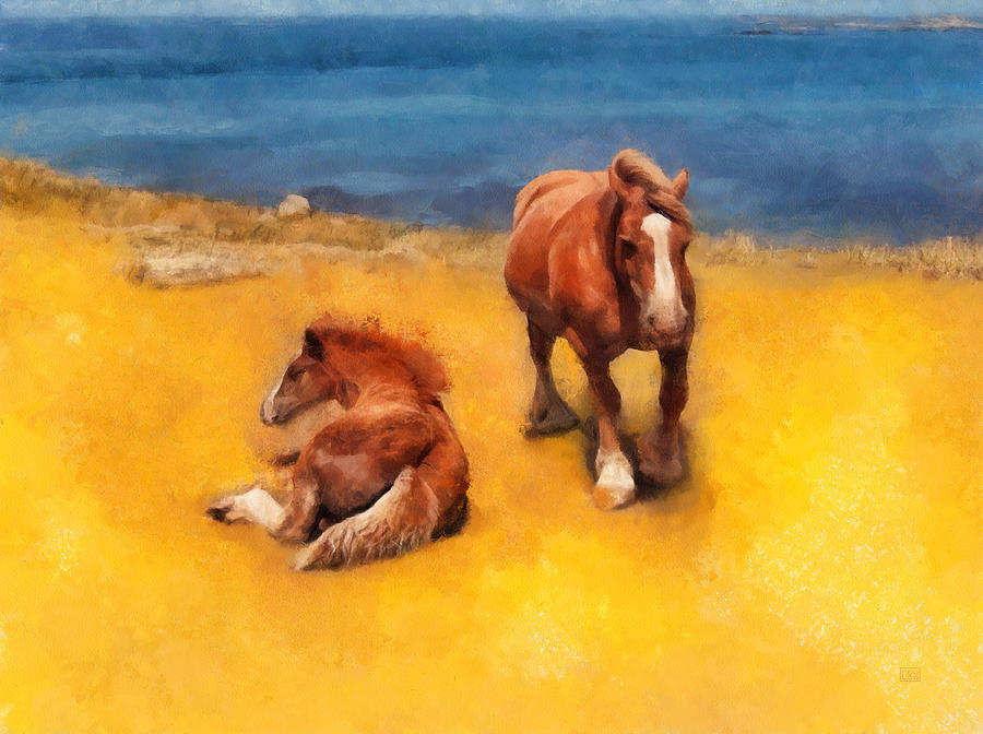 Horse Painting - Horses on the Coast of Brittany by Menega Sabidussi