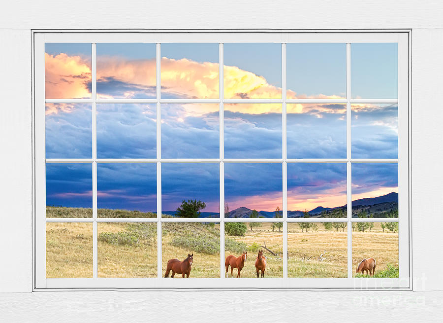 Horses On The Storm Large White Picture Window Frame View Photograph by James BO Insogna