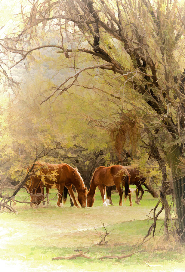 Horses Pastoral Photograph by Susan Westervelt