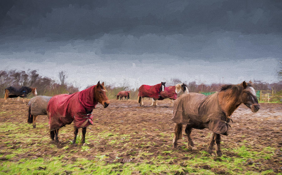Horses Digital Art by Roy Pedersen