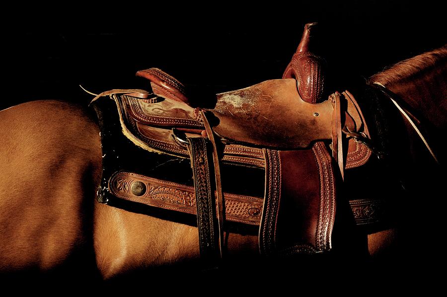Nature Photograph - Horses Saddle by Mauro Fermariello/science Photo Library
