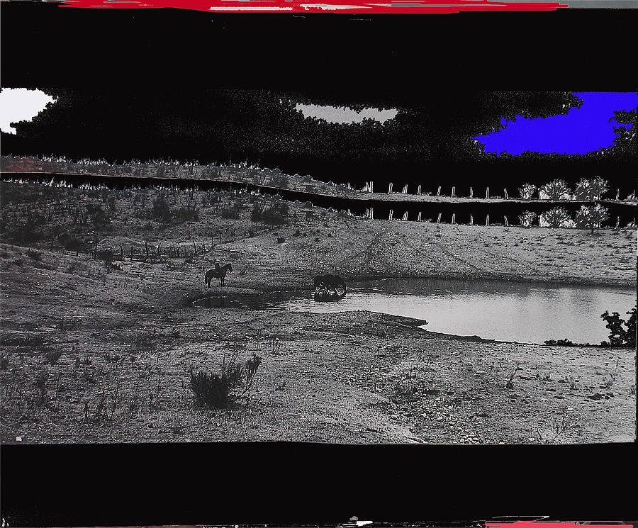 Horses Water Hole Cattle Round  Up Collage Tohono Oodham Reservation Near Sells Arizona 1969-2012 Photograph