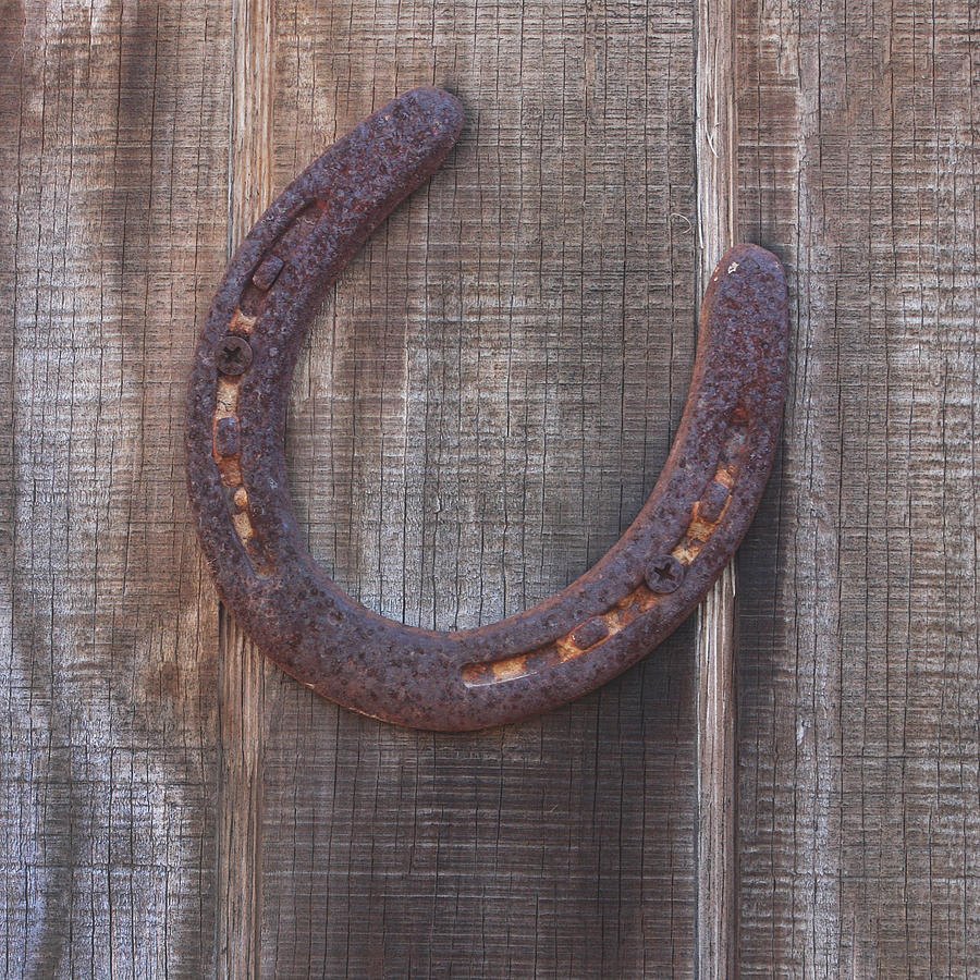 Horseshoe Photograph by Art Block Collections