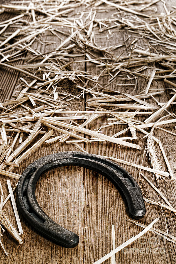 Horseshoe on Barn Floor Photograph by Olivier Le Queinec