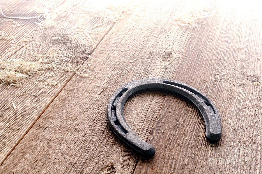 Horseshoe on Wood Floor Photograph by Olivier Le Queinec | Fine Art America