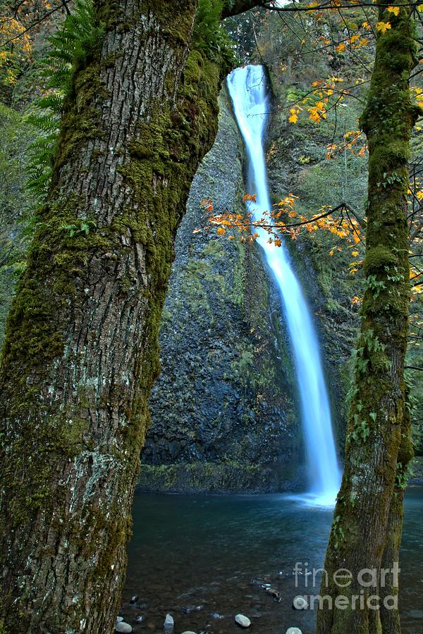 Horsetail Falls At Columbia River Gorge Photograph by Adam Jewell
