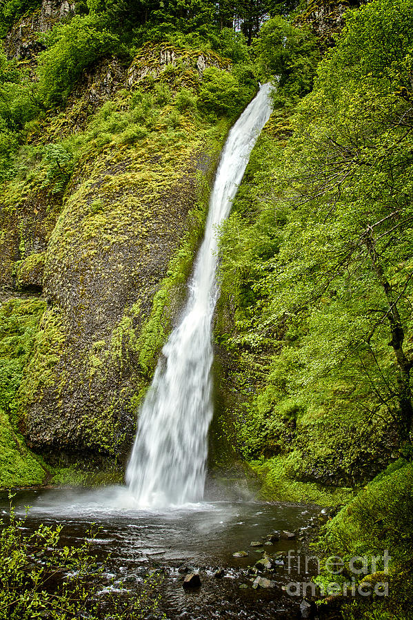 Horsetail Falls Photograph by Carrie Cranwill