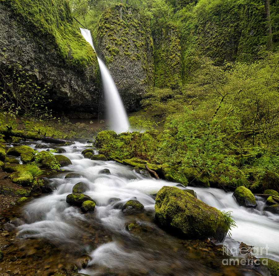 Horsetail Falls,  Columbia River Gorge Photograph by John Shaw
