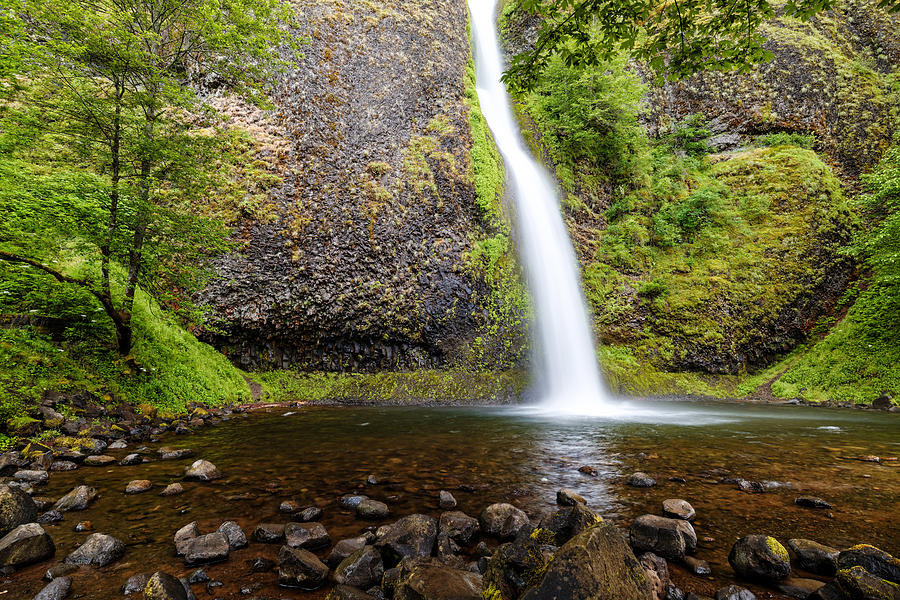 Horsetail Falls - Columbia River Gorge Oregon Photograph by Silvio Ligutti