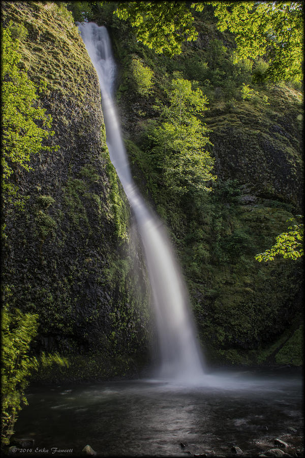 Horsetail Falls Photograph by Erika Fawcett
