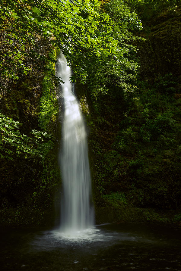 Waterfall Photograph - HorseTail Falls in Summer by Vishwanath Bhat