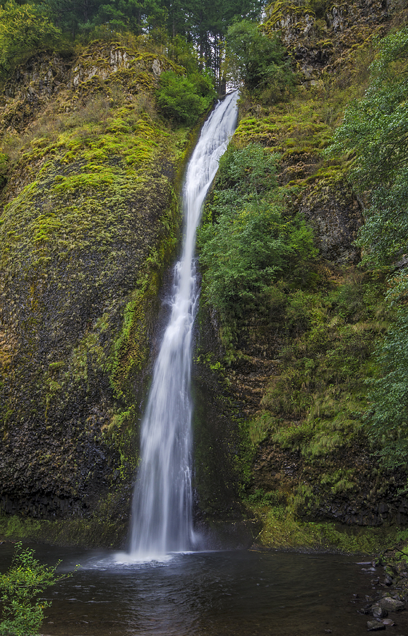 Horsetail Falls Photograph by Loree Johnson