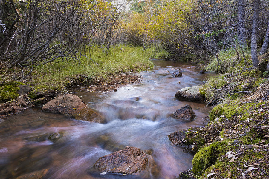 Landscape Photograph - Horsethief Creek - Cripple Creek Colorado by Brian Harig