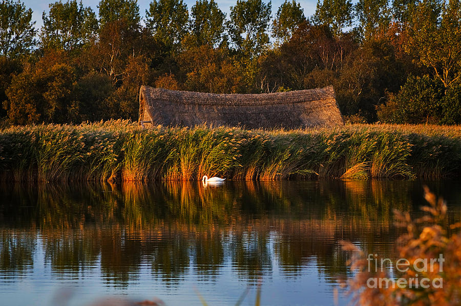 Horsey Mere on the Norfolk Broads on a Still Day in Autumn Photograph by Louise Heusinkveld