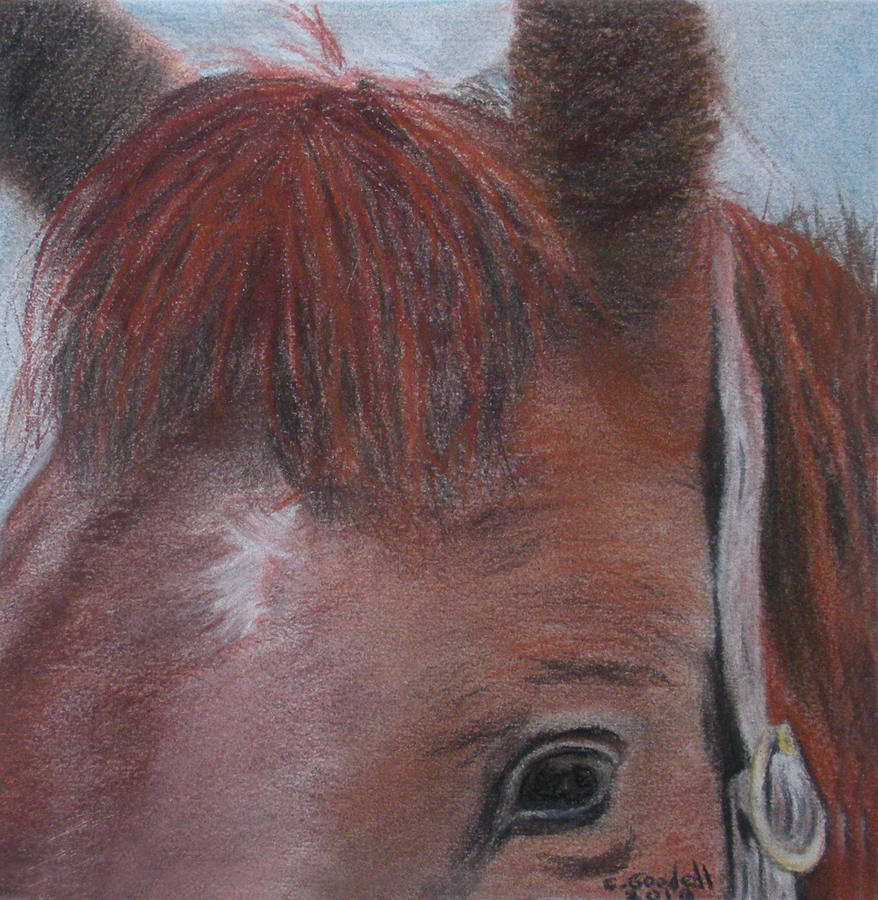 Horsin Round a Bit Painting by Claudia Goodell