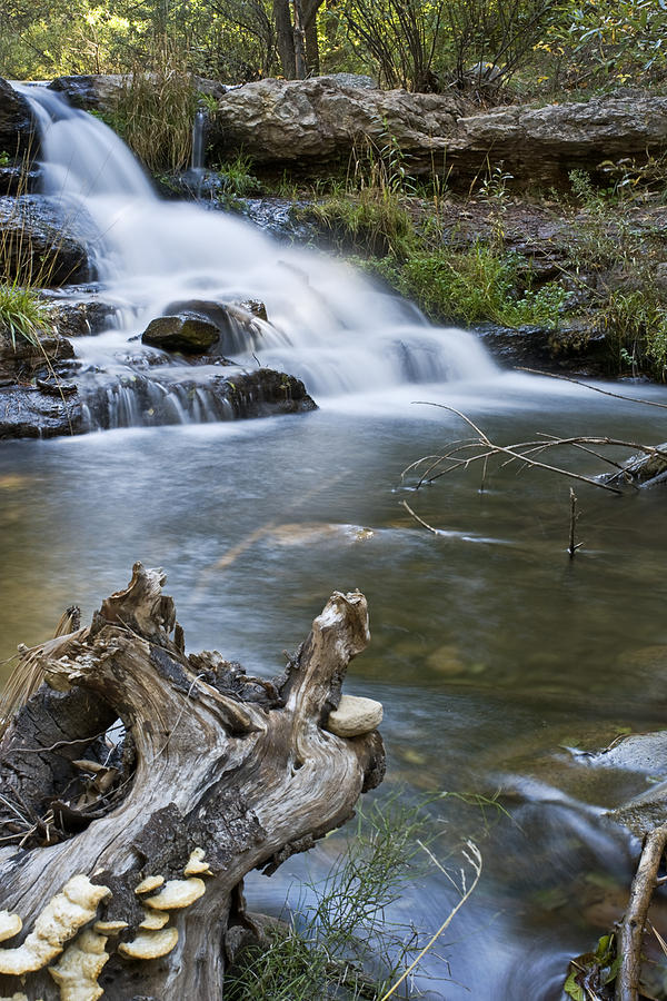 Horton Creek - 2 Photograph by Paul Riedinger