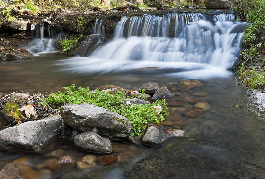 Horton Creek - 3 Photograph by Paul Riedinger