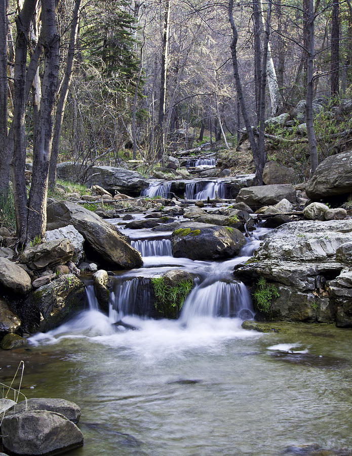 Horton Creek 6 Photograph by Paul Riedinger