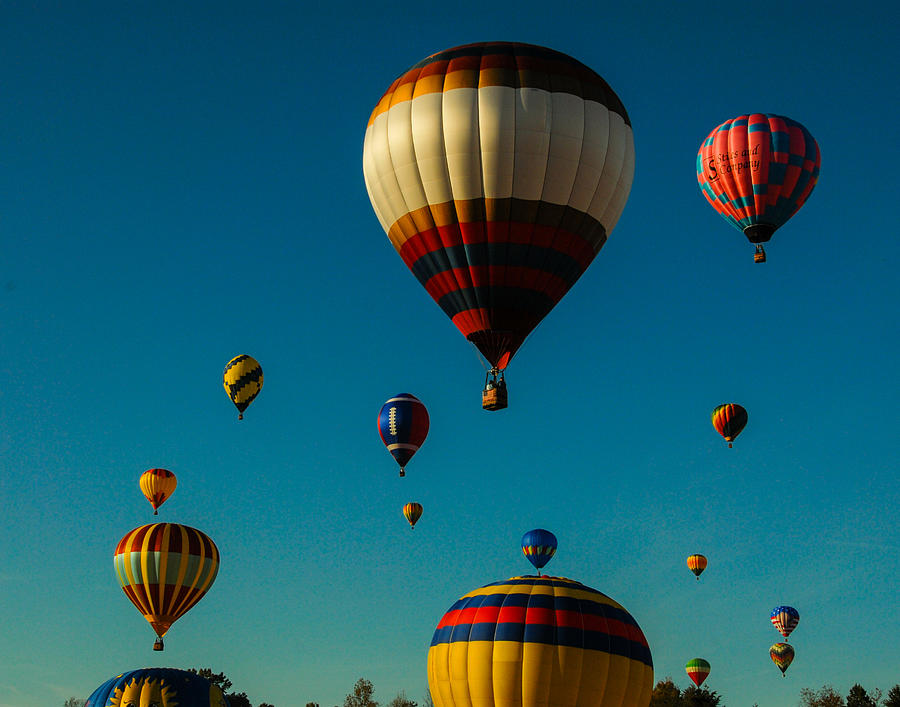 Hot Air Ballons  Photograph by Will Burlingham
