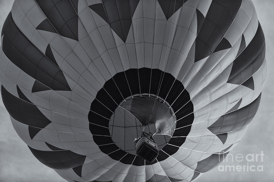 Hot Air Balloon Ascent II Photograph by Clarence Holmes