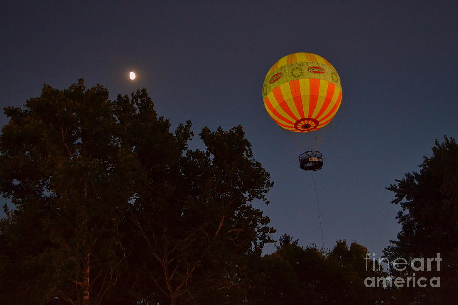Tree Photograph - Hot Air Balloon at Night  by Amy Lucid