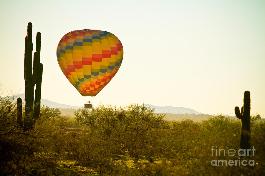 Hot Air Balloon In the Lush Arizona Desert With Saguaro Cactus Photograph by James BO Insogna