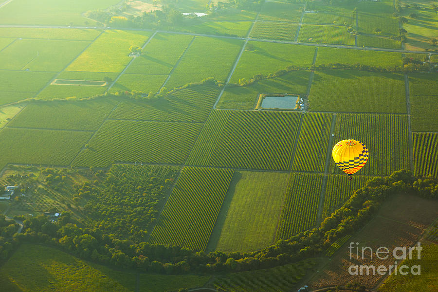 Sunset Photograph - Hot Air Balloon Over Napa Valley California by Diane Diederich