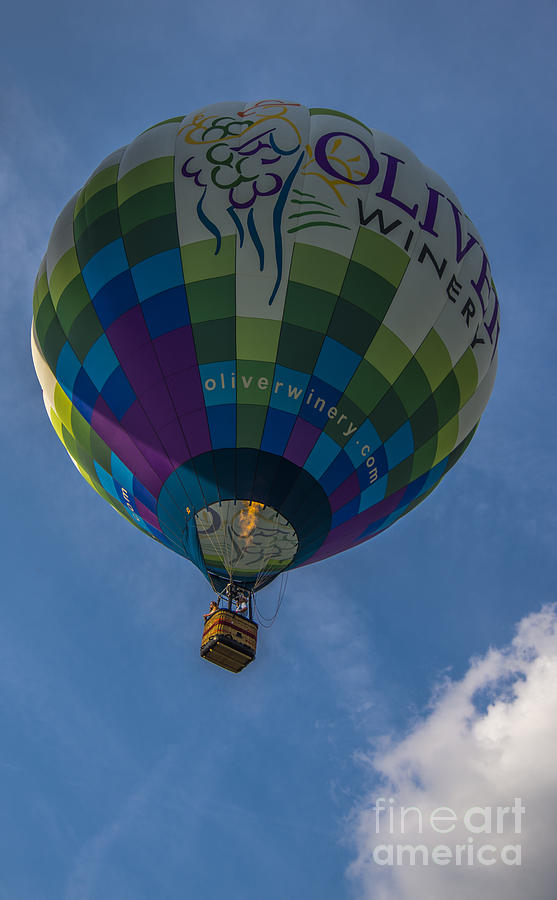 Hot Air Balloon OW Photograph by David Haskett II