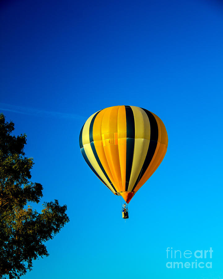 Hot Air Balloon Photograph by Robert Bales