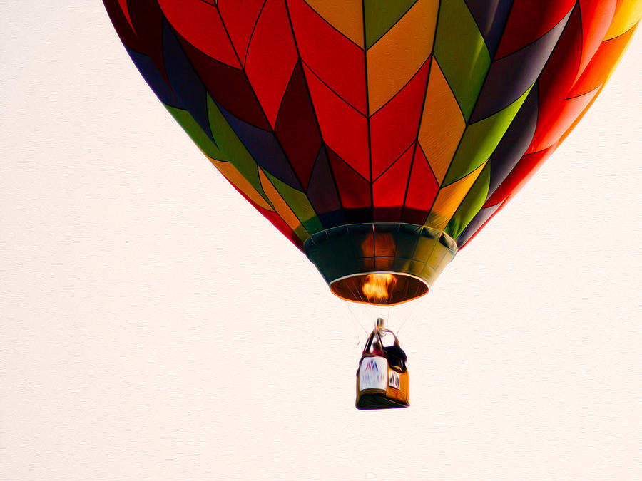 Hot Air Balloon Photograph by Tracy Winter